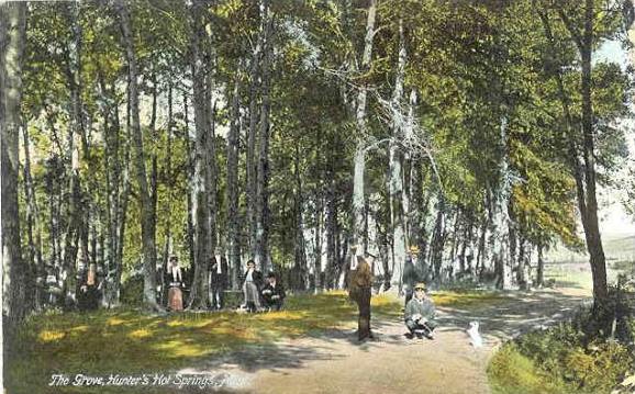 The Grove