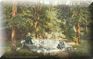 The cold springs