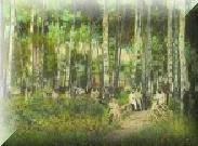 The grove at Hunters Hot Springs